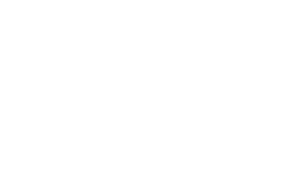 eastamherst solstice logo white